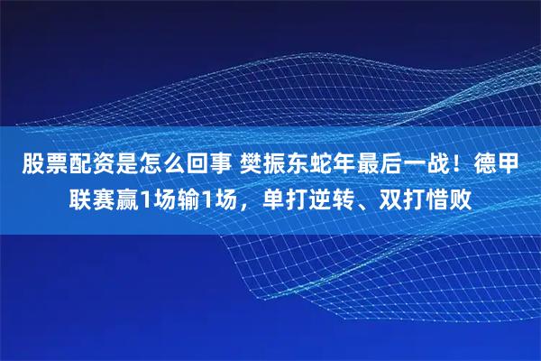 股票配资是怎么回事 樊振东蛇年最后一战!德甲联赛赢1场输1场,单打逆转、双打惜败